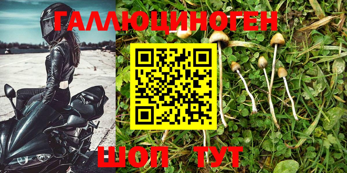 Псилоцибиновые грибы мухоморы  Псилоцибиновые грибы MAGIC MUSHROOMS  Дербент  Вход с VPN 